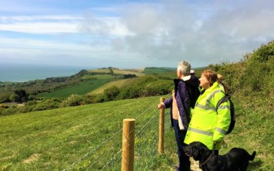 Striders in South Wight
